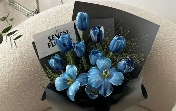 عکس دسته گل نیلوفر آبی