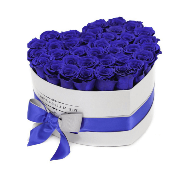 عکس دسته گل رز ابی و سفید