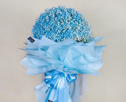 عکس دسته گل ژیپسوفیلا ابی