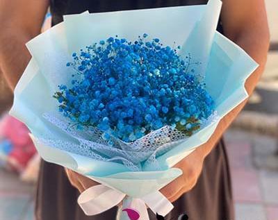 عکس دسته گل ژیپسوفیلا ابی