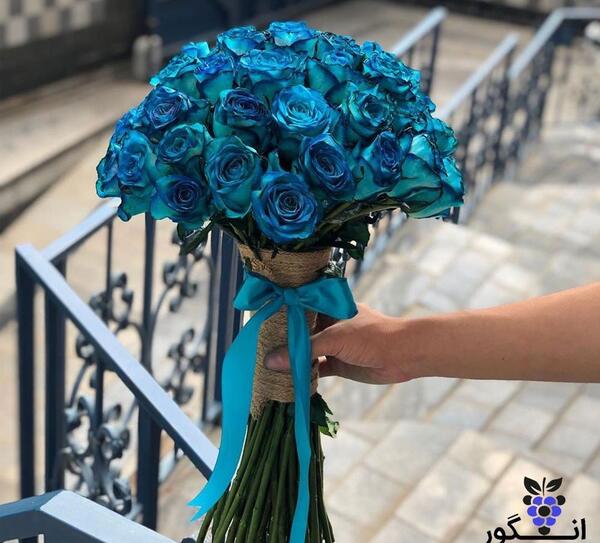 دانلود عکس دسته گل رز آبی