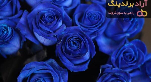دانلود عکس دسته گل رز آبی