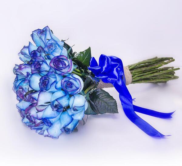 دانلود عکس دسته گل رز آبی