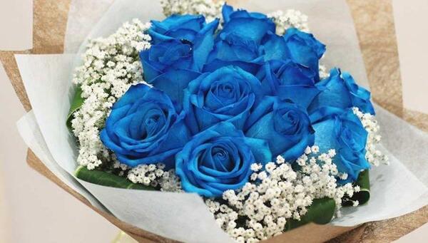 عکس مدل دسته گل عروس رز ابی