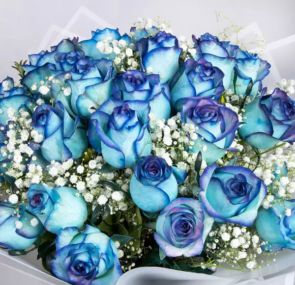 عکس مدل دسته گل عروس رز ابی