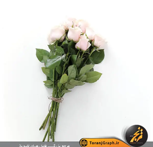 عکس با دسته گل بزرگ