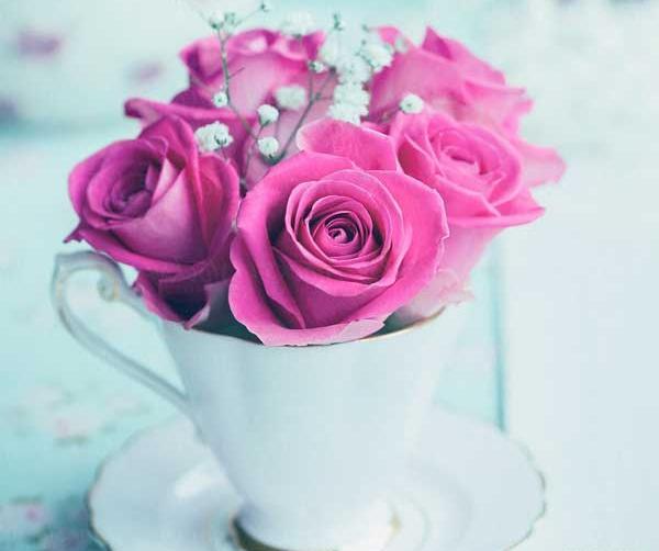 عکس دسته گل رز برای پروفایل