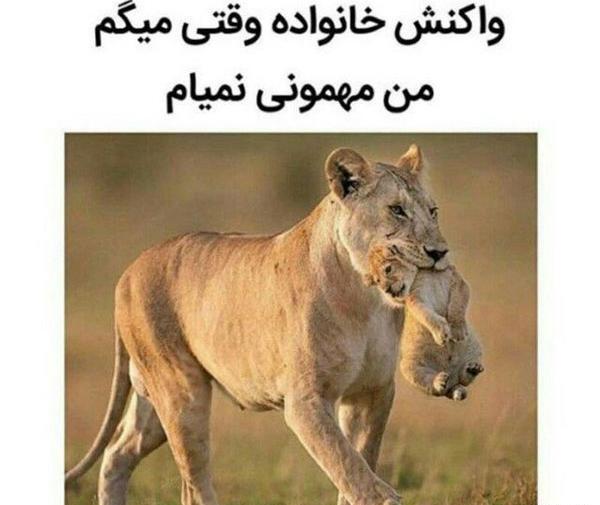 عکس دخترانه خنده دار جدید