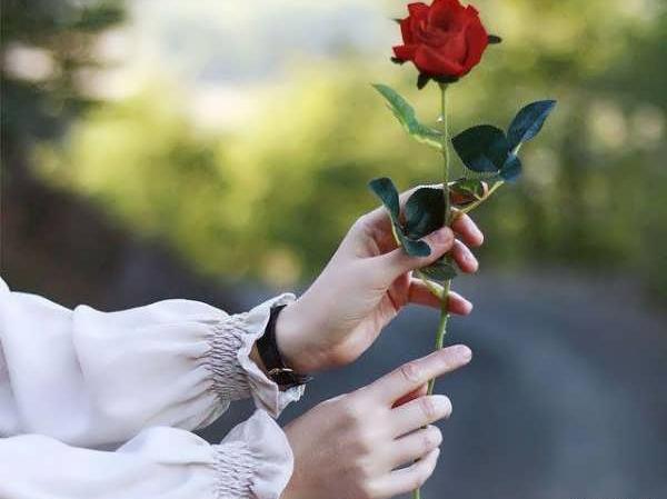 عکس دخترانه گل برای پروفایل