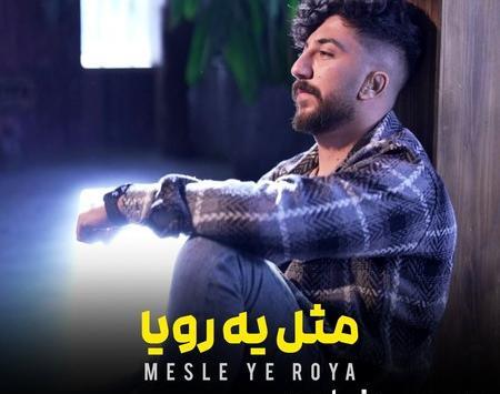 آهنگ عکس دونفره شادمهر