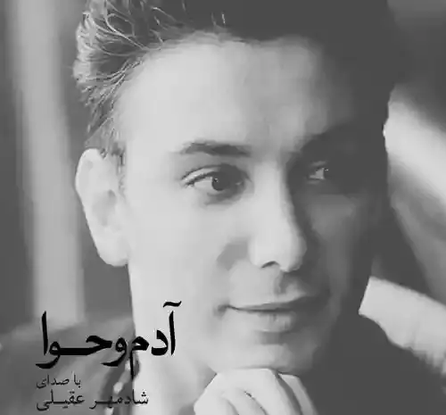 دانلود آهنگ عکس دونفره شادمهر