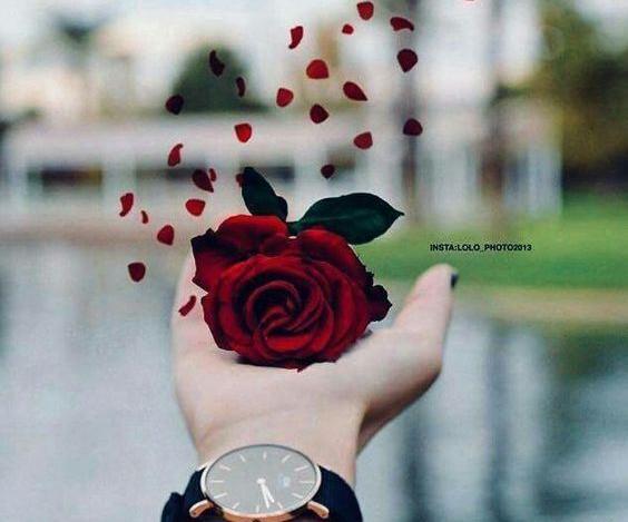 عکس عاشقانه واسه پروفایل دخترونه