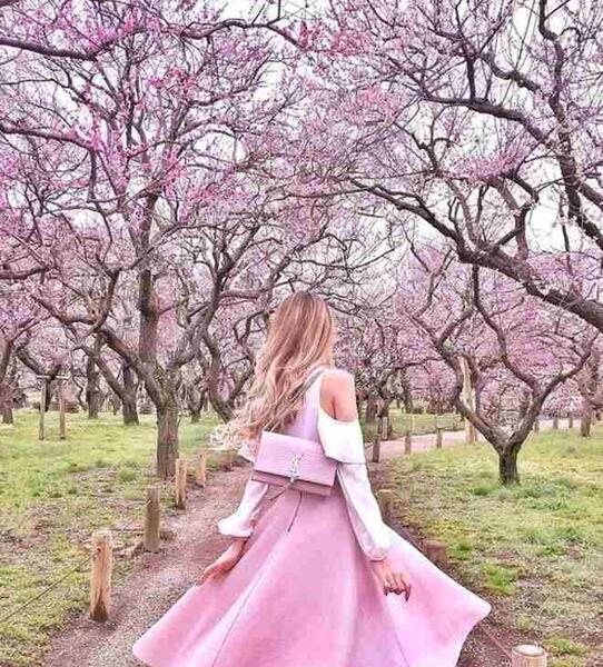 عکس های دخترونه صورتی برای پروفایل