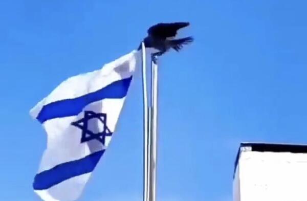 پرچم عکس پرچم اسرائیل