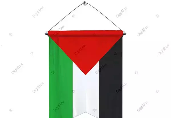 عکس پرچم فلسطین قدیم
