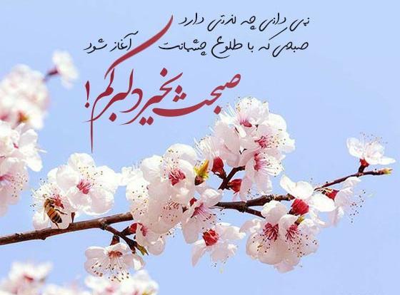 همسر احساسی عشقم عکس صبح بخیر عاشقانه دونفره