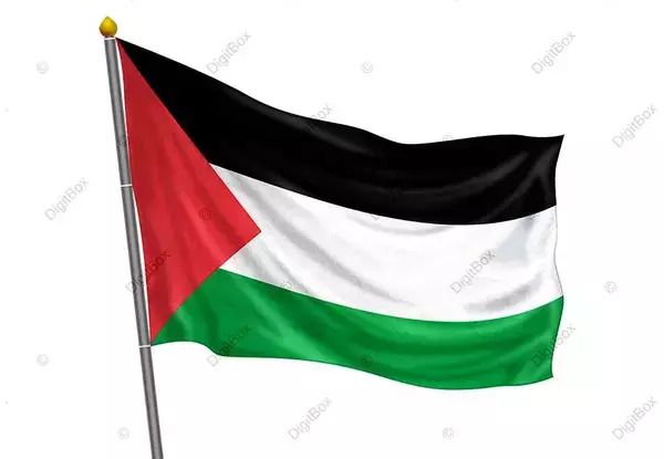 پرچم عکس پرچم فلسطین