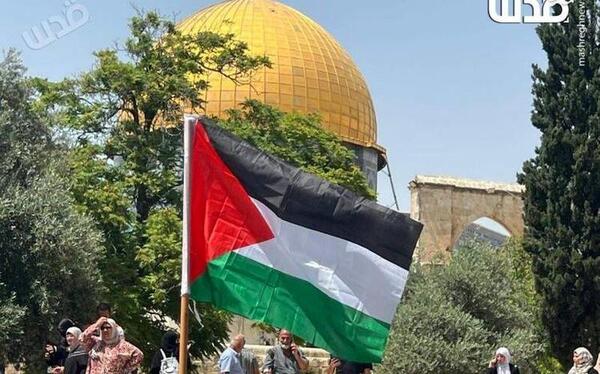 پرچم عکس پرچم فلسطین
