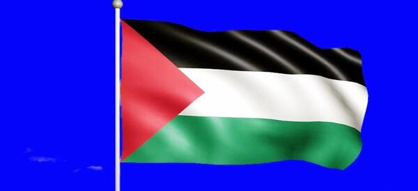 عکس خام پرچم فلسطین