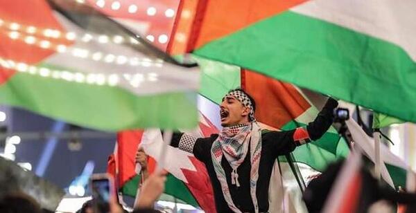 عکس پرچم فلسطین در چشمان رهبر