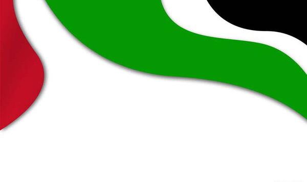 دانلود عکس پرچم فلسطین