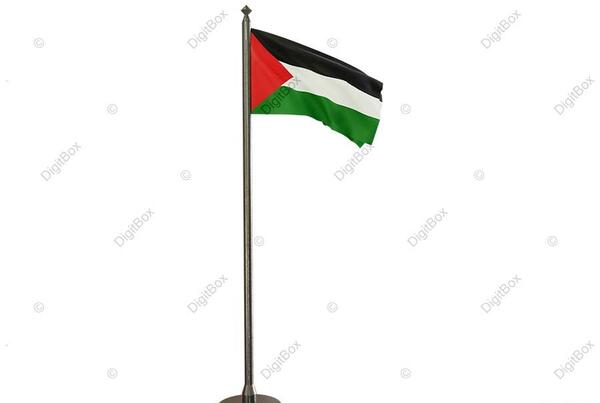 دانلود عکس پرچم فلسطین