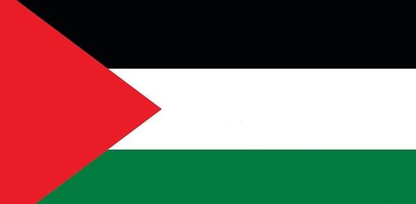 عکس زیبا از پرچم فلسطین