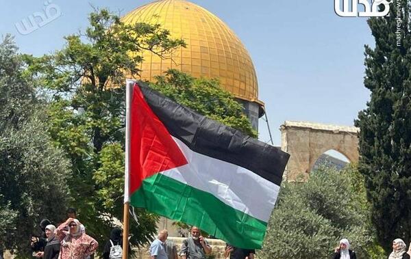 عکس عکس پرچم فلسطین