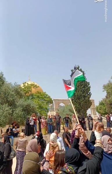 عکس عکس پرچم فلسطین