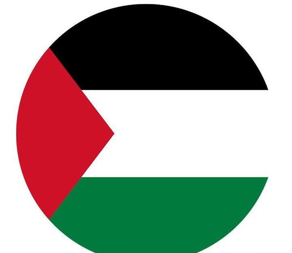 عکس با کیفیت از پرچم فلسطین