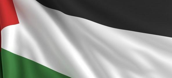 عکس با کیفیت از پرچم فلسطین