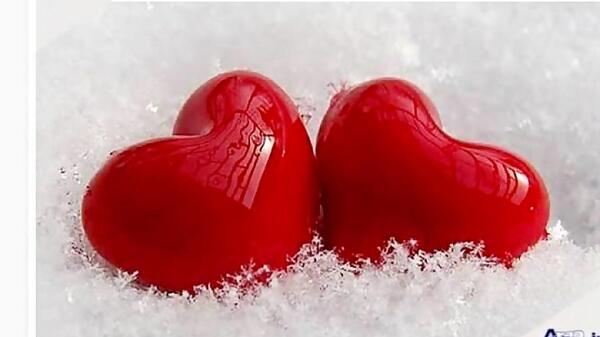 عکس گل قلب عاشقانه