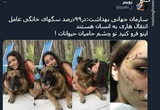 عکس حیوانات خطرناک خانگی