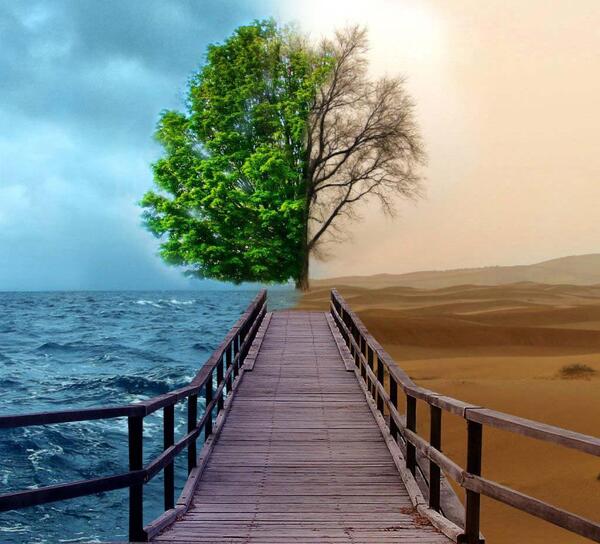 عکس زندگی دریا