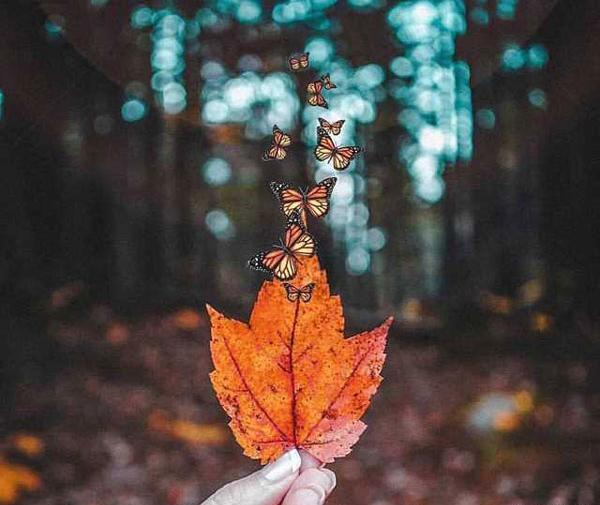 خاص عکس زیبا برای پروفایل