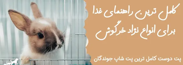 عکس های غذای خرگوش