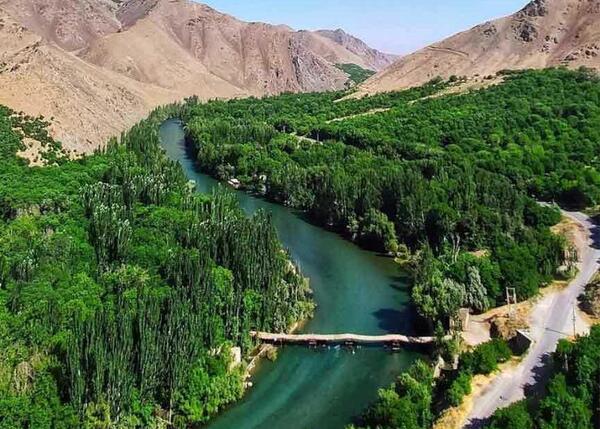 عکس گرگاس در دیزیچه اصفهان