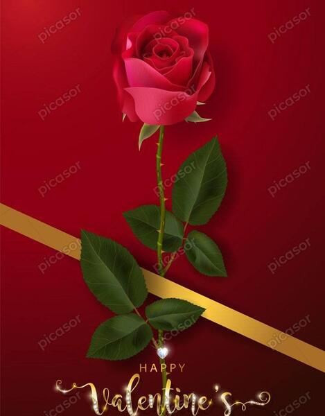 دانلود عکس تصویر زمینه گل رز