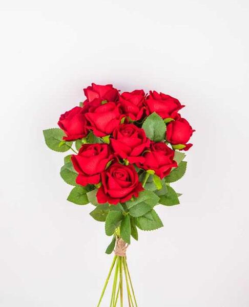 دانلود عکس تصویر زمینه گل رز