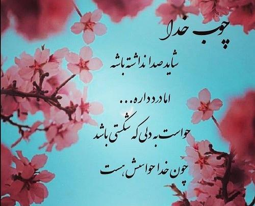 عکس در مورد چوب خدا صدا نداره
