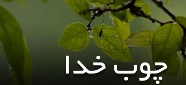 عکس در مورد چوب خدا صدا نداره