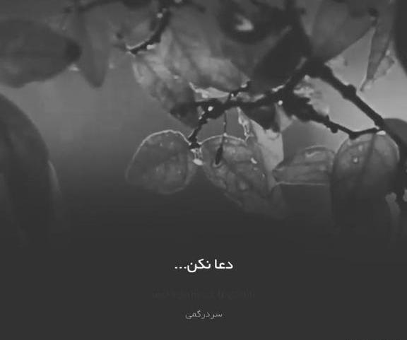 عکس در مورد چوب خدا صدا نداره