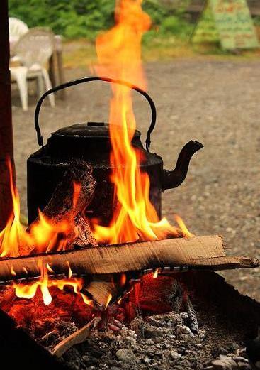 عکس چایی آتیشی در طبیعت