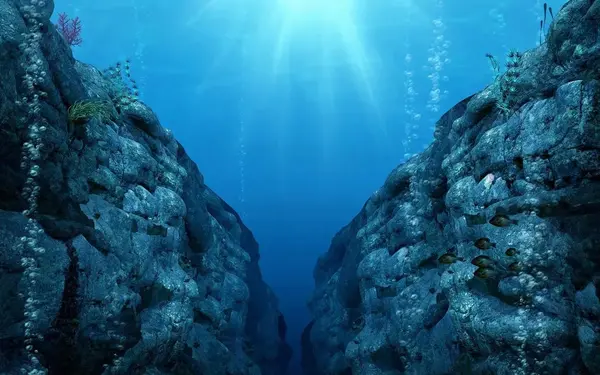 عکس از عمق دریاها