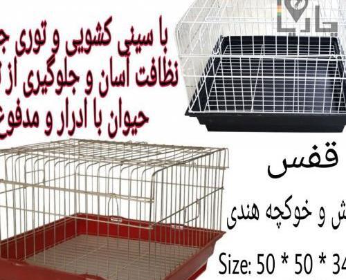 عکس خرگوش قفس