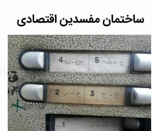 عکس حیوانات خنده دار طنز