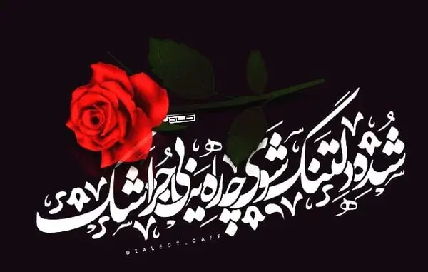 عکس از حافظ شاعر