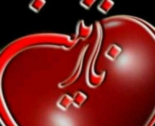 عکس تصویر زمینه اسم نازنین