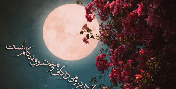 عکس از بزرگداشت حافظ