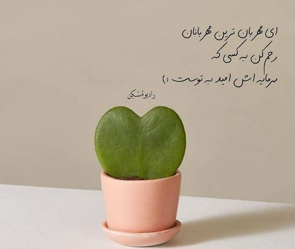 عکس خدا بزرگه واقعی